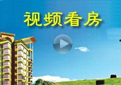 丽彩视频网,畅享视听盛宴,尽在指尖流转